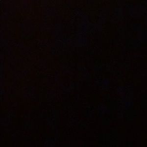 Meet your Posher, Dylan